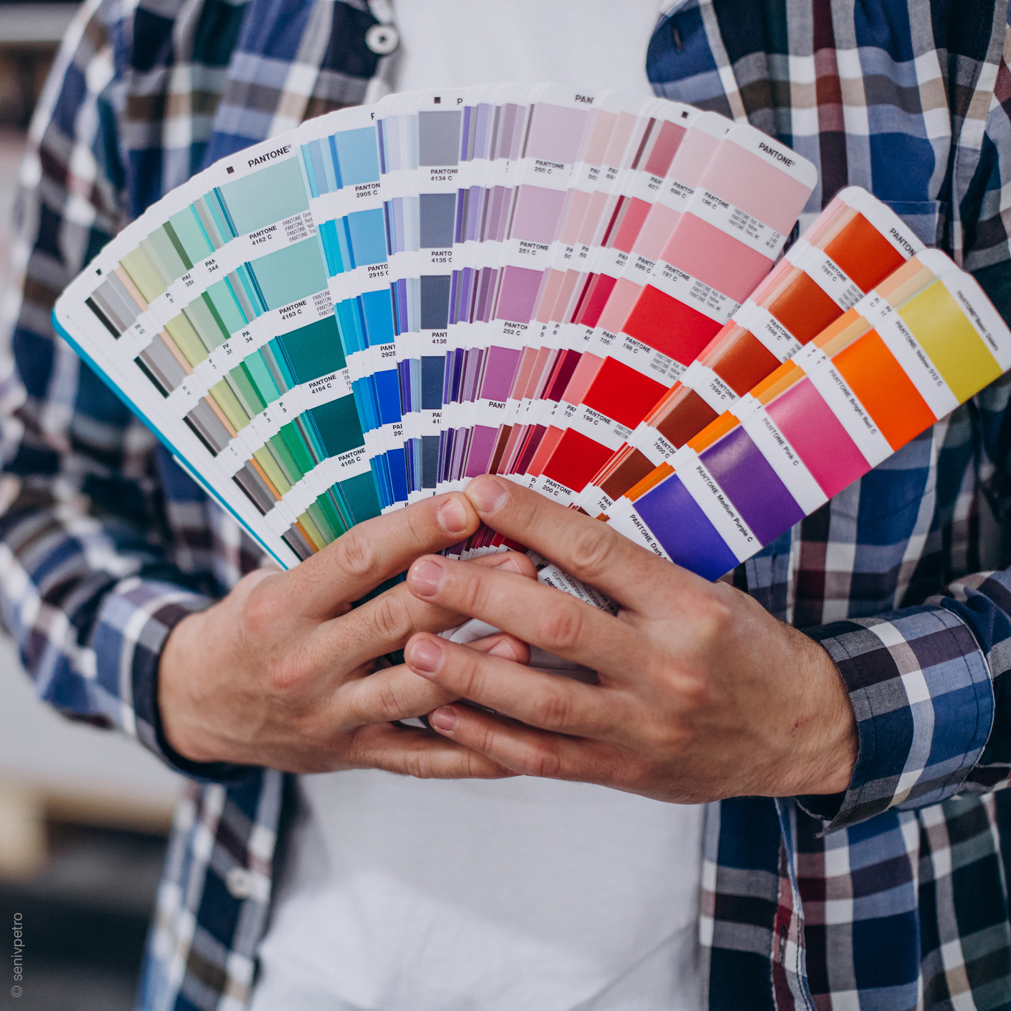 Colors